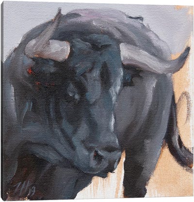 Toro Head Negro (study 20) Canvas Art Print - Zil Hoque
