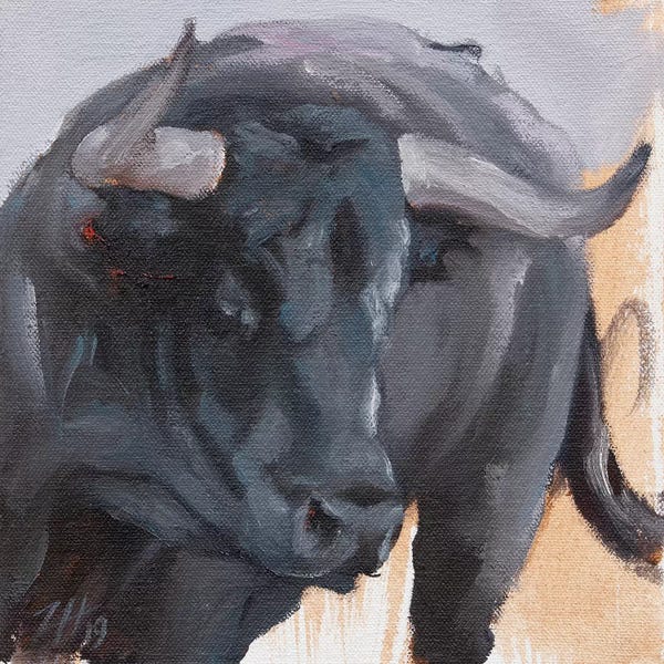 Bulls: Toro Head Negro (study 20) by Zil Hoque