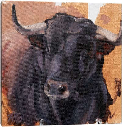 Toro Head Negro (study 24) Canvas Art Print