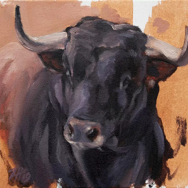 Bulls: Toro Head Negro (study 24) by Zil Hoque
