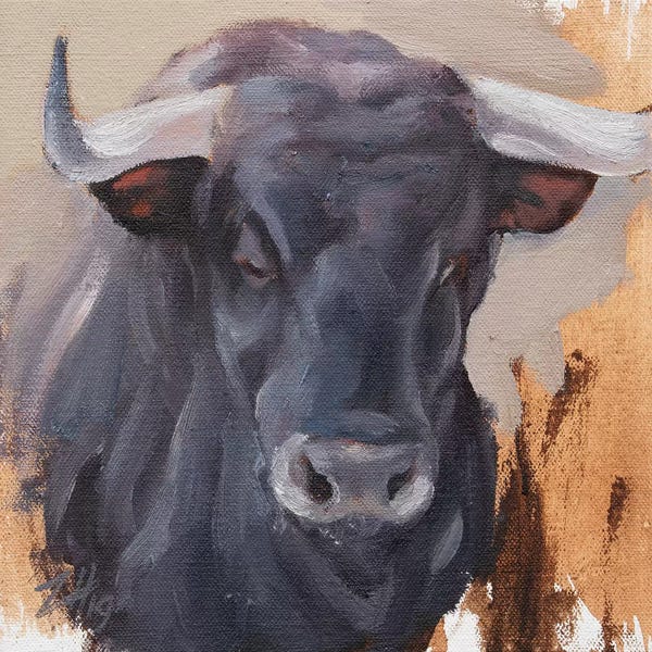 Bulls: Toro Head Negro (study 25) by Zil Hoque