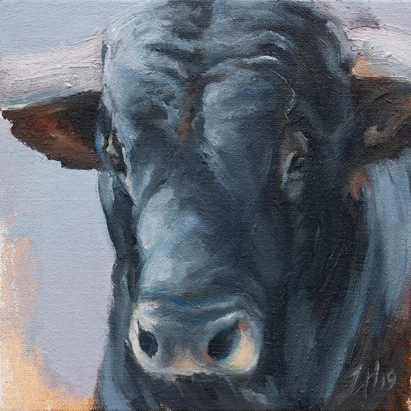 Bulls: Toro Head Negro (study 26) by Zil Hoque