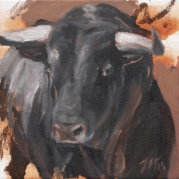 Bulls: Toro Head Negro (study 29) by Zil Hoque