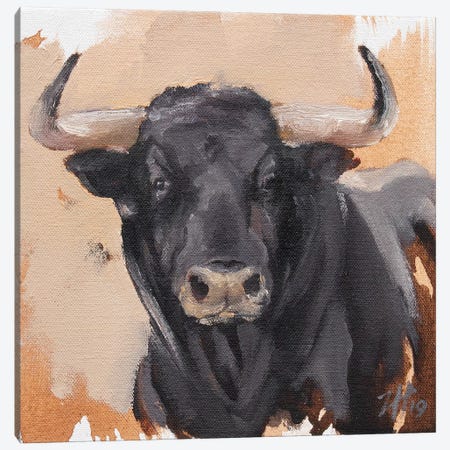 Toro Head Negro (study 39) Canvas Print #ZHO176} by Zil Hoque Canvas Artwork