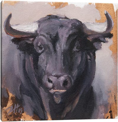 Toro Head Negro (study 41) Canvas Art Print - Zil Hoque