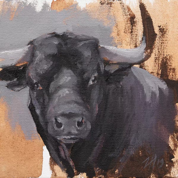 Bulls: Toro Head Negro (study 42) by Zil Hoque