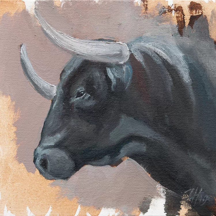 Toro Head Negro (study 43)