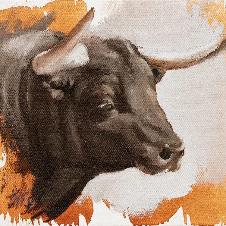 Toro Head Negro (study 45)