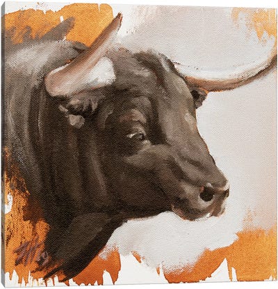 Toro Head Negro (study 45) Canvas Art Print - Zil Hoque