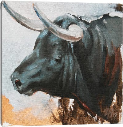 Toro Head Negro (study 46) Canvas Art Print - Zil Hoque