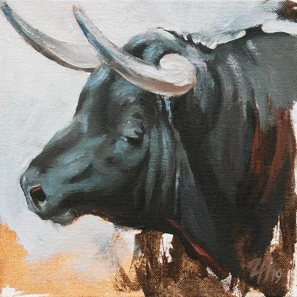 Bulls: Toro Head Negro (study 46) by Zil Hoque