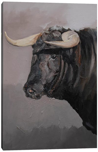 Toro Espanol Negro II Canvas Art Print - Zil Hoque