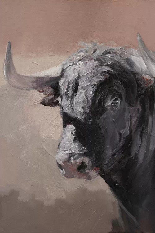 Toro Espanol Negro I