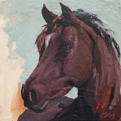 Equine Head Arab Chestnut (Study 127) by Zil Hoque canvas print