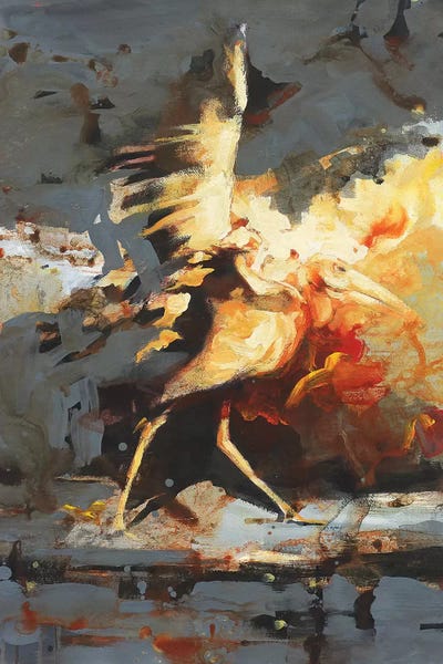 Zil Hoque: Adjutant Evolution  by Zil Hoque