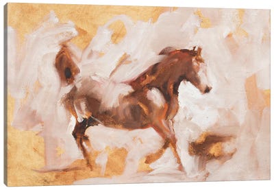 Pegasus (Study) Canvas Art Print - Zil Hoque