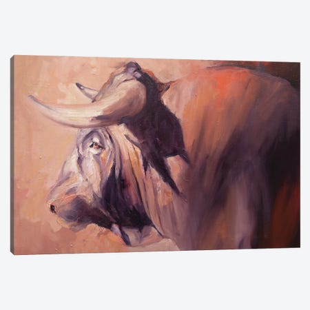 Focused V Canvas Print #ZHO231} by Zil Hoque Canvas Art