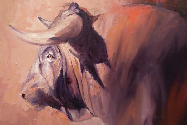 Zil Hoque: Focused V by Zil Hoque