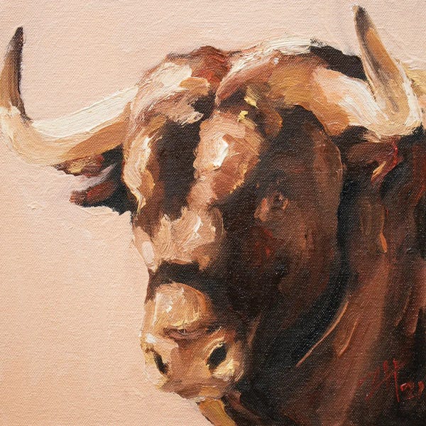 Bulls: Cuernos Colorados III by Zil Hoque