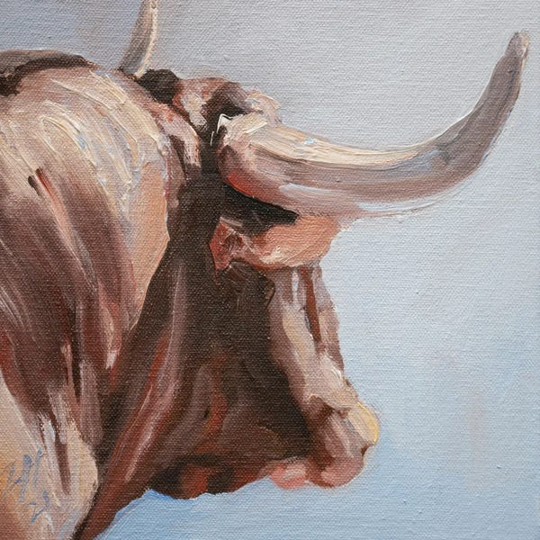 Bulls: Cuernos Colorados IV by Zil Hoque