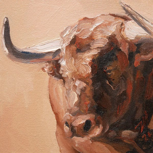 Bulls: Cuernos Colorados V by Zil Hoque