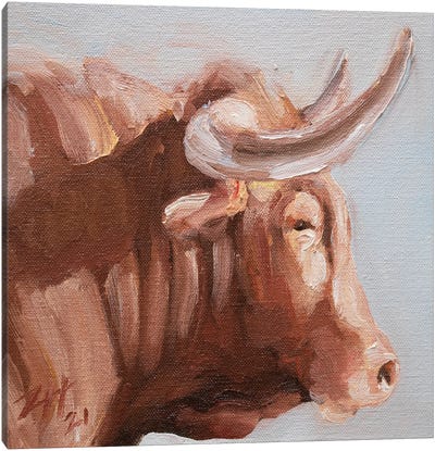 Cuernos Colorados IX Canvas Art Print - Bull Art