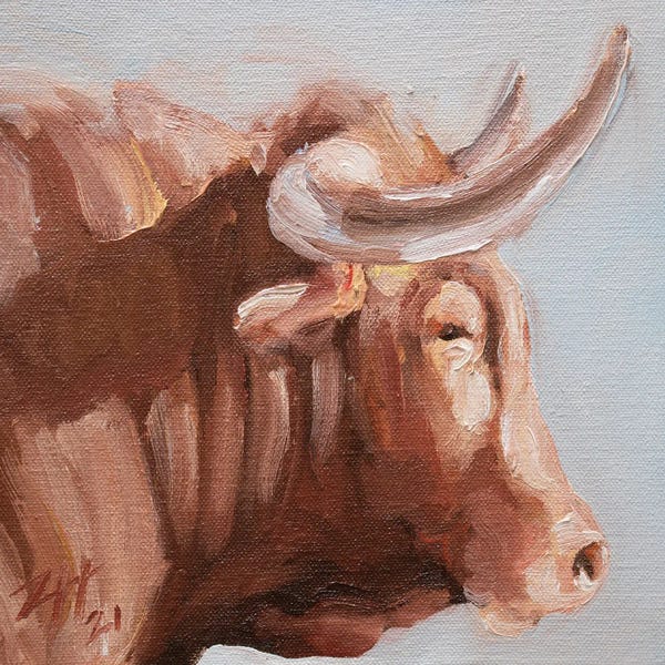 Bulls: Cuernos Colorados IX by Zil Hoque