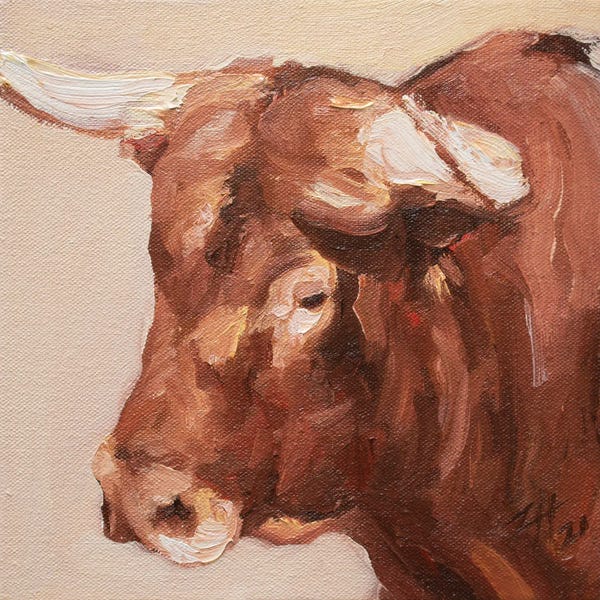 Bulls: Cuernos Colorados X by Zil Hoque