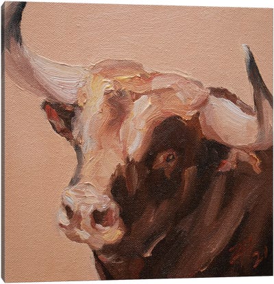 Cuernos Colorados XI Canvas Art Print - Bull Art