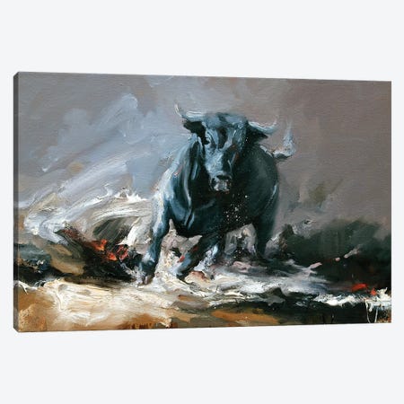 Tempest (Study I)  Canvas Print #ZHO23} by Zil Hoque Canvas Wall Art