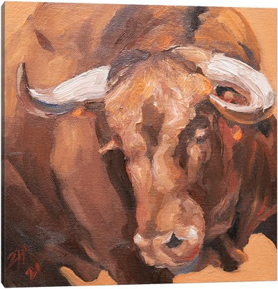 Cuernos Colorados XIII Canvas Art Print - Bull Art