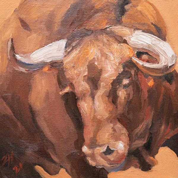 Bulls: Cuernos Colorados XIII by Zil Hoque