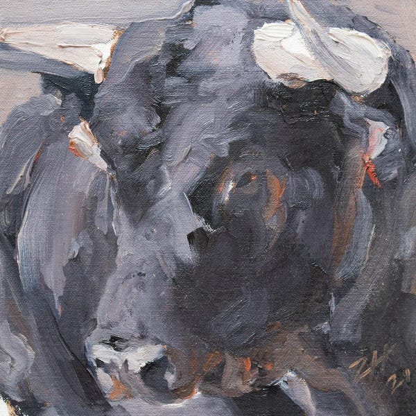 Bulls: Cuernos Negros III by Zil Hoque