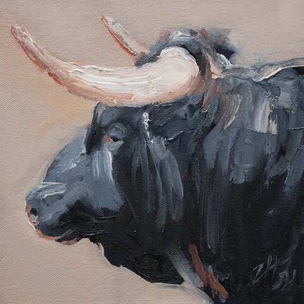 Bulls: Cuernos Negros V by Zil Hoque