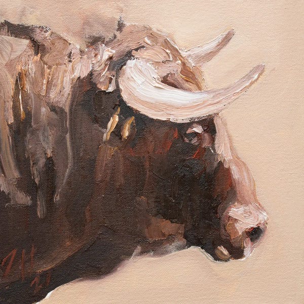 Bulls: Cuernos Castanos XVII by Zil Hoque