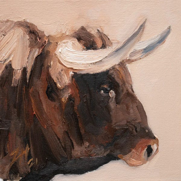 Bulls: Cuernos Castanos XI by Zil Hoque