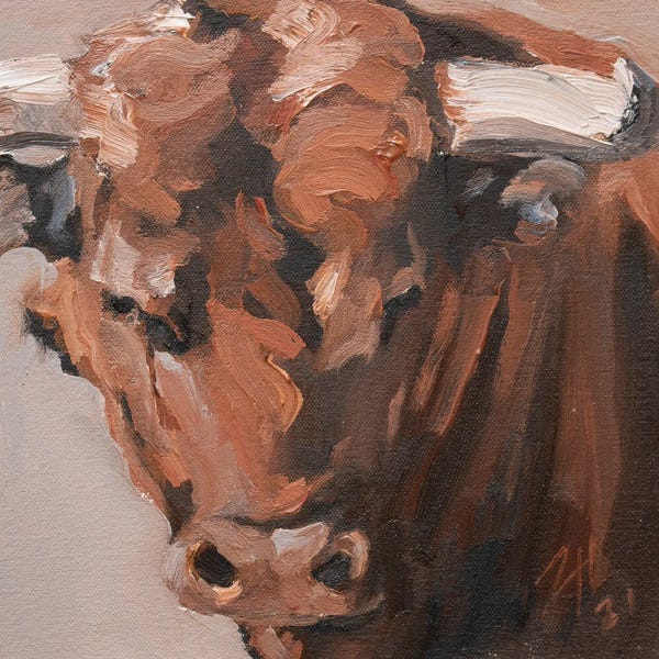 Bulls: Cuernos Colorados XVI by Zil Hoque