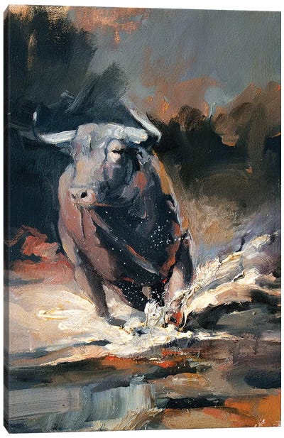 Tempest IV Canvas Art Print - Bull Art
