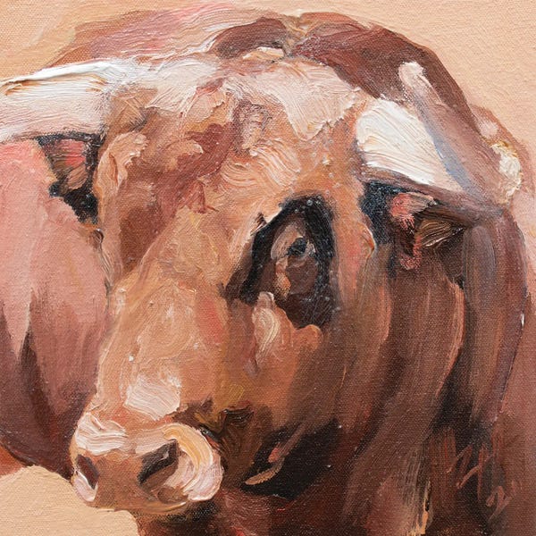 Bulls: Cuernos Castanos II by Zil Hoque