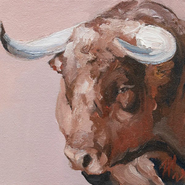 Bulls: Cuernos Colorados II by Zil Hoque