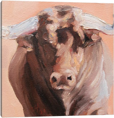 Cuernos Colorados VI Canvas Art Print - Bull Art