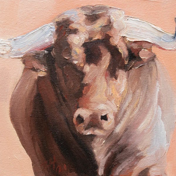 Bulls: Cuernos Colorados VI by Zil Hoque