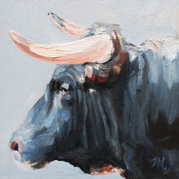 Bulls: Cuernos Negros II by Zil Hoque