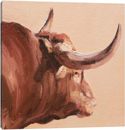 Cuernos Colorados XIV Canvas Art Print - Bull Art