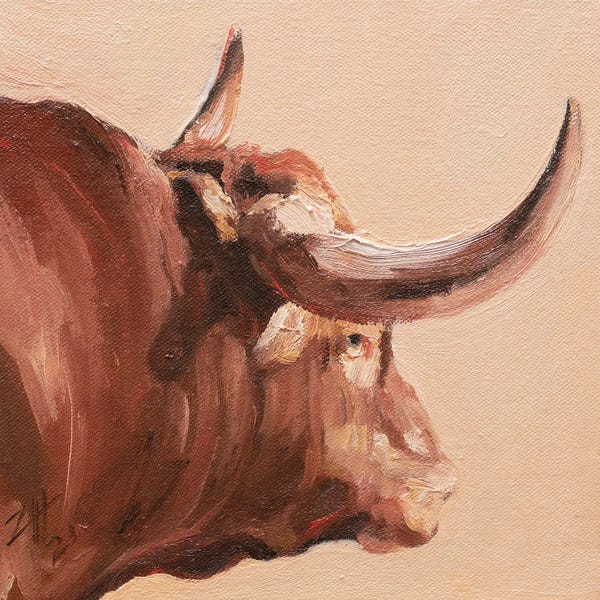 Bulls: Cuernos Colorados XIV by Zil Hoque