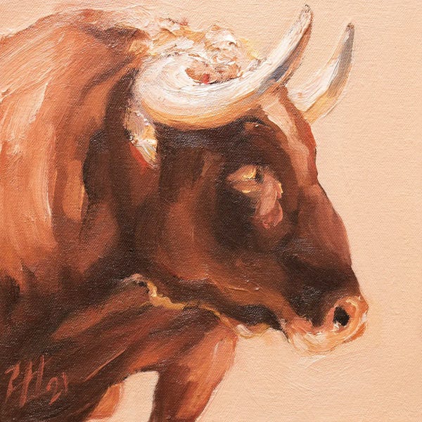 Bulls: Cuernos Colorados XV by Zil Hoque