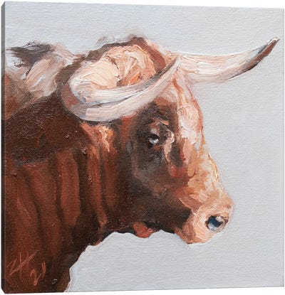 Cuernos Colorados VII Canvas Art Print - Bull Art