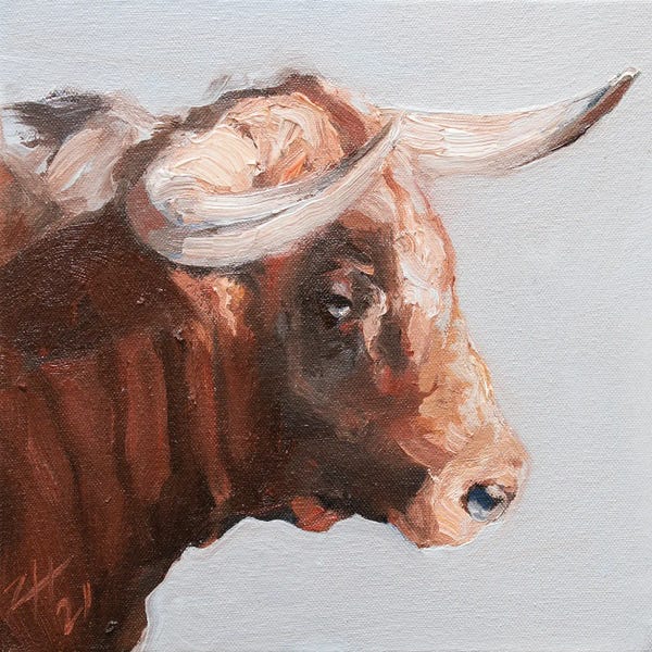 Bulls: Cuernos Colorados VII by Zil Hoque