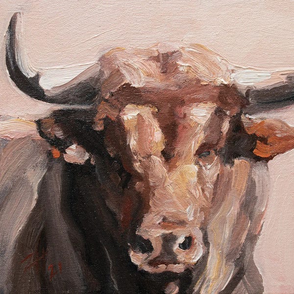 Bulls: Cuernos Castanos VI by Zil Hoque