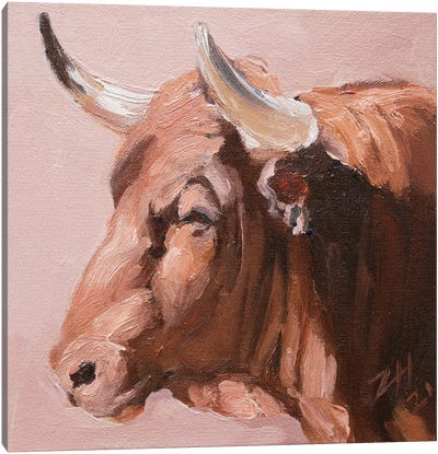 Cuernos Colorados XVIII Canvas Art Print - Bull Art